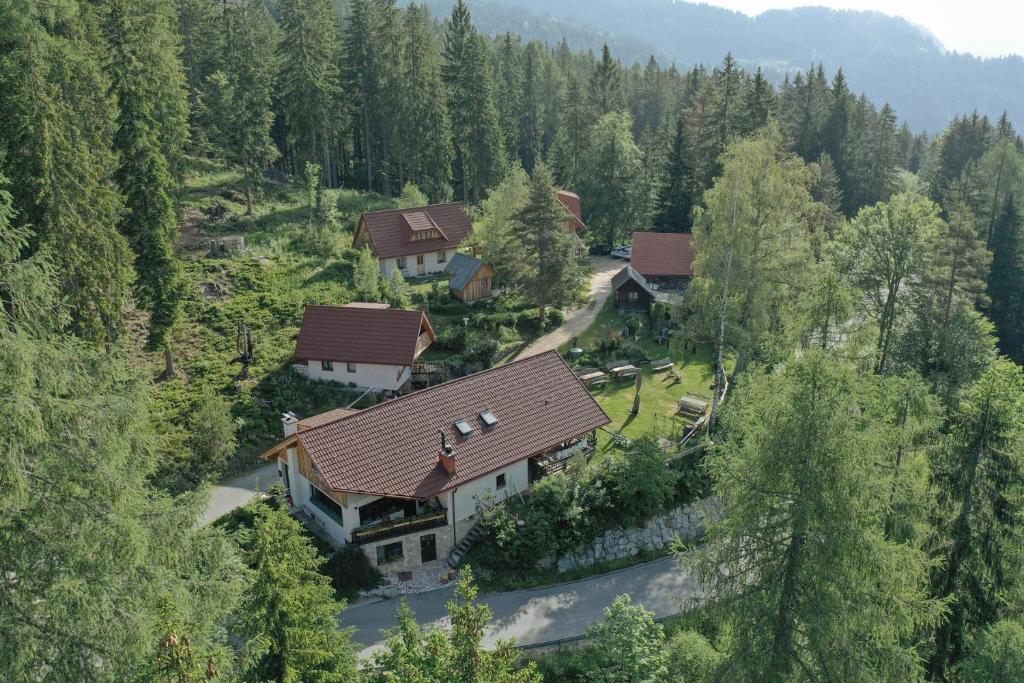 索尔察瓦Guesthouse Planinski Dom Majerhold的森林中房屋的空中景观