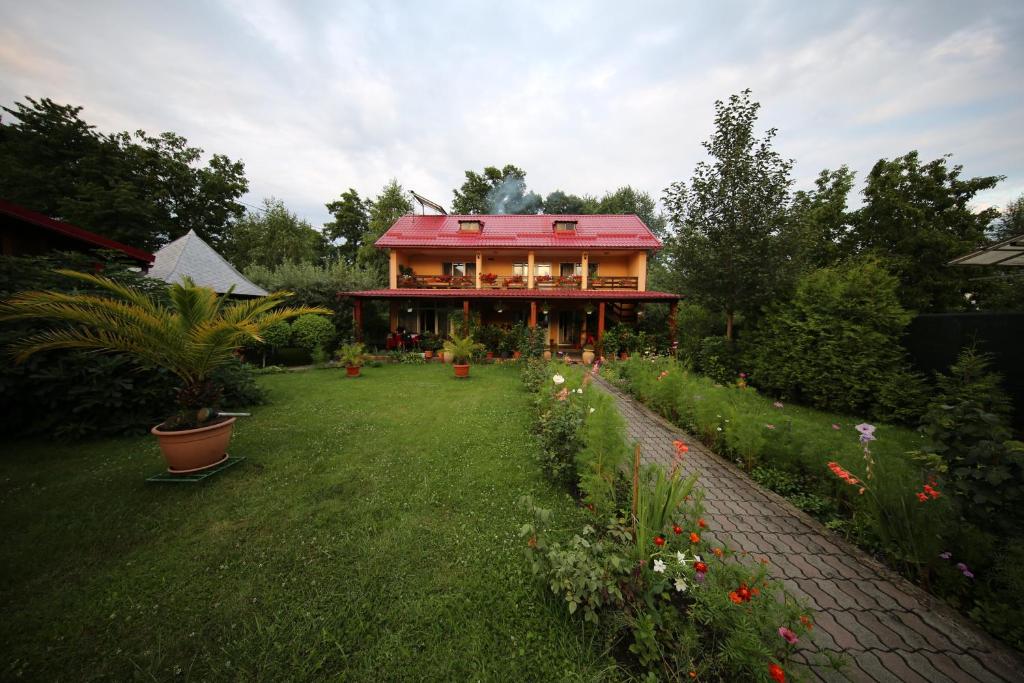 霍雷祖Pensiunea Criveanu的院子里有红色屋顶的房子
