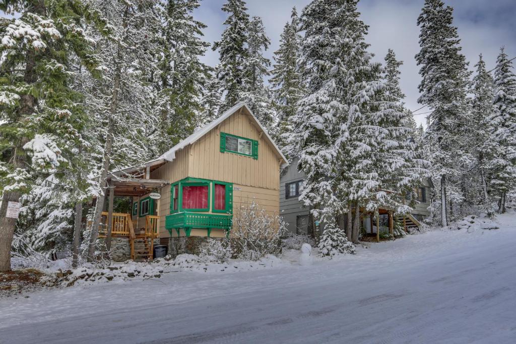 加文门特营The Wilcox Cabin的雪中树下的小木屋