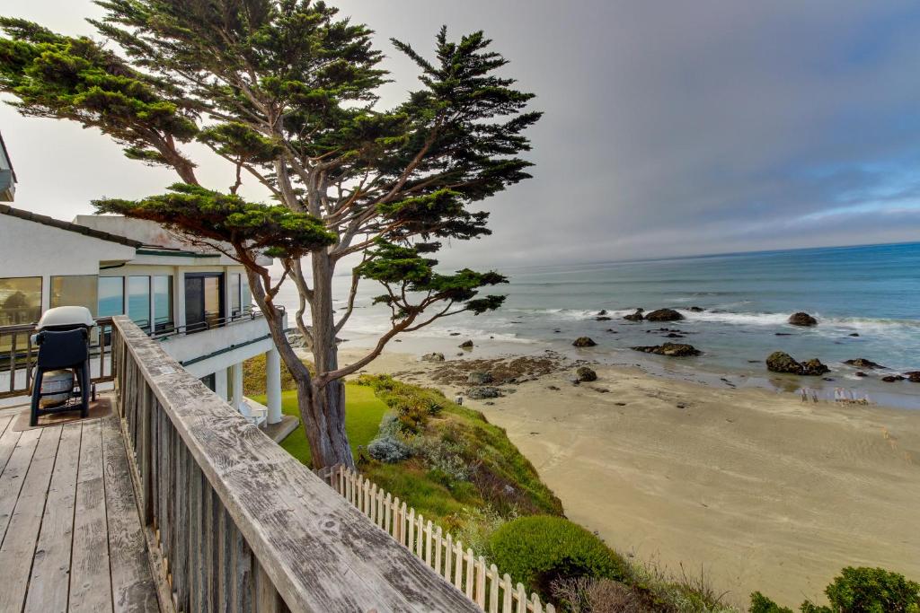 卡幽卡思Oceanfront Dream的海滩上一棵树的房子