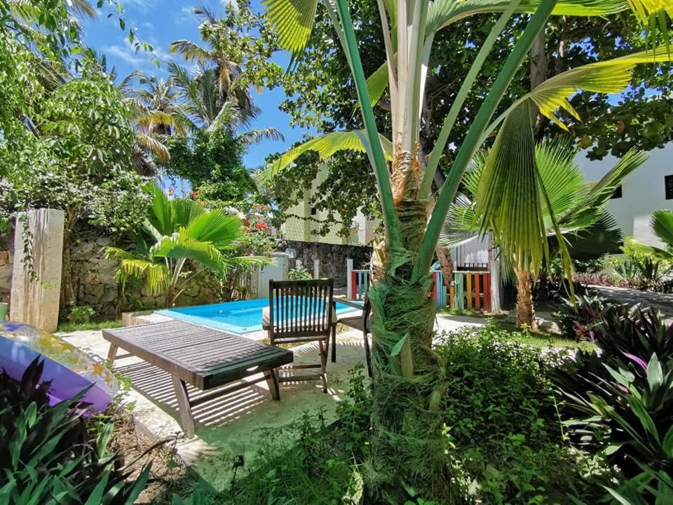 蓬塔卡纳Riviera Punta Cana Eco Travelers的棕榈树旁边的木桌和长凳