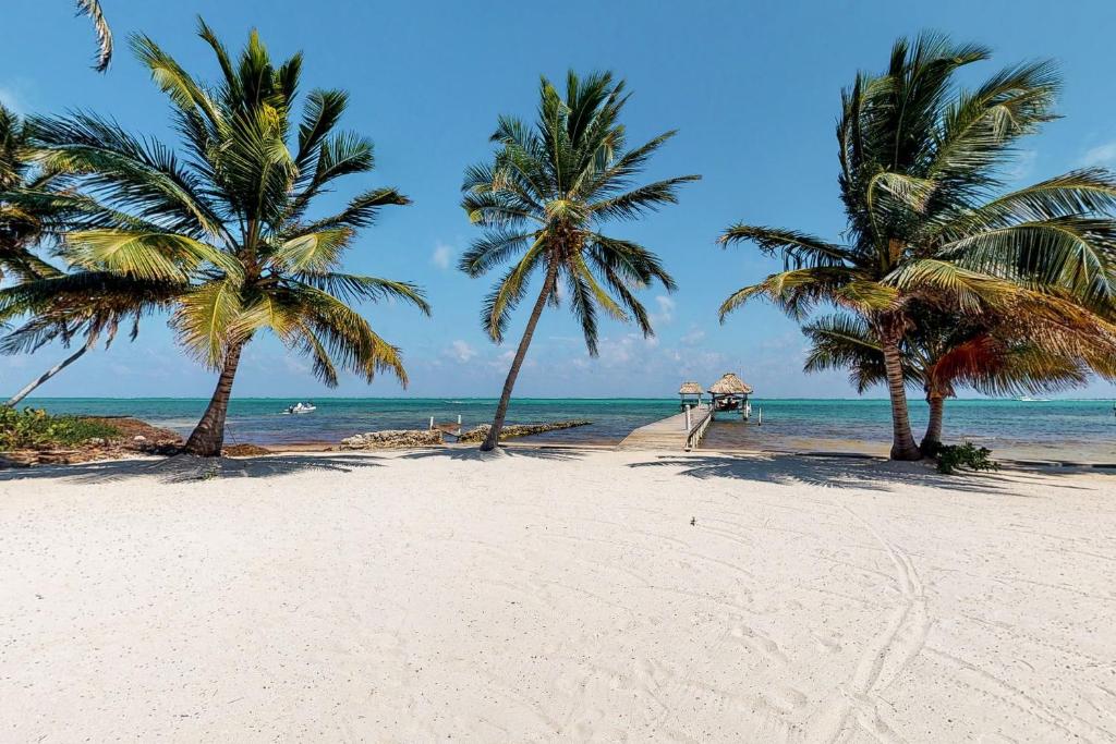 伯利兹城Caribe Island Studio #2的海滩上一棵棕榈树和大海