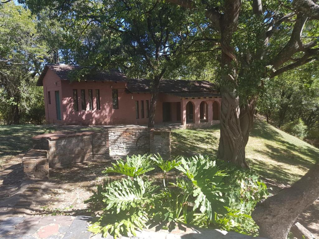 KwekweNyangombe Backpackers的前面有树和植物的房子