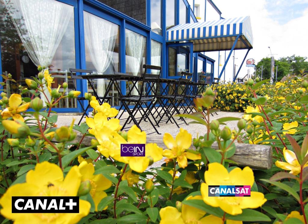 圣热尔韦拉福雷诺图埃尔基布卢瓦南酒店的一座花园,在一座建筑前种有黄色花卉