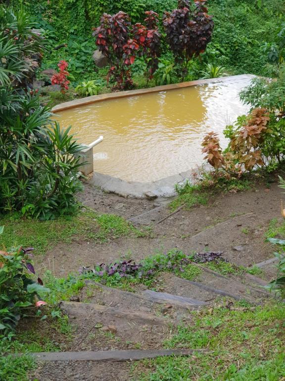 罗索Ti Kwen Glo Cho的花园中的一个水池