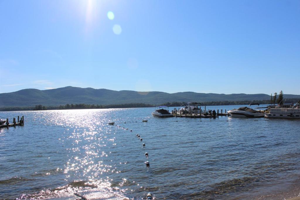乔治湖蓝色泻湖宾馆的水体中满是小船和鸭子