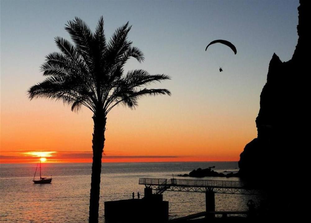 Madalena do MarApartamento Vai Vem的日落时分在海洋上空飞翔的棕榈树和风筝