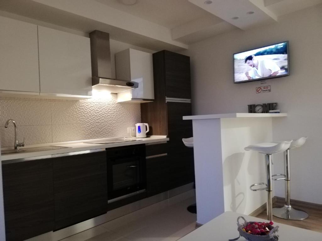 茹帕尼亚Apartman Škribulja的厨房配有黑色橱柜和墙上的电视。