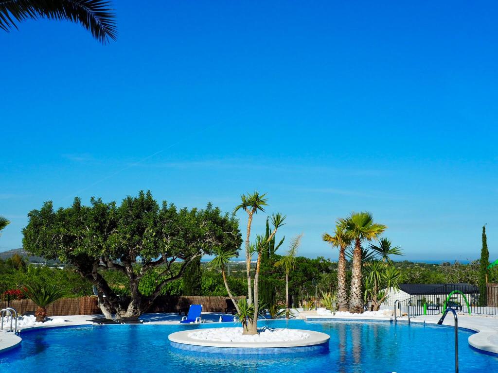 CáligCamping L'Orangeraie的游泳池拥有棕榈树和蓝色椅子