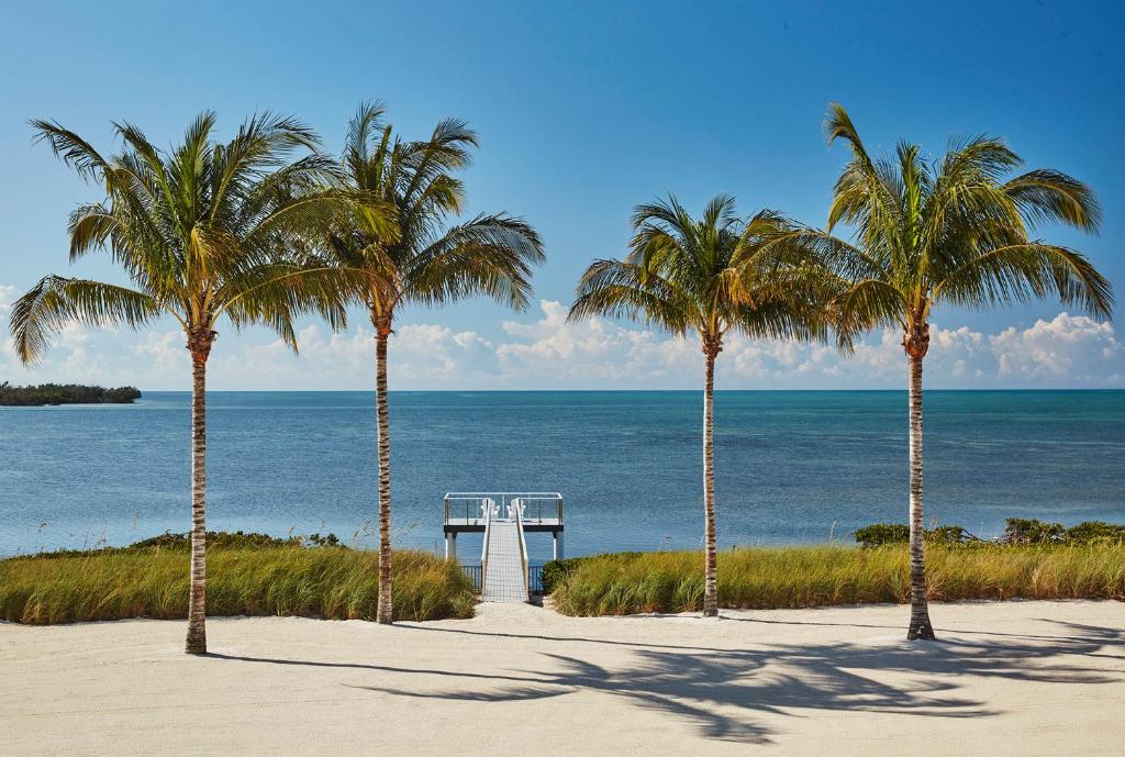 马拉松Isla Bella Beach Resort & Spa - Florida Keys的棕榈树海滩和海洋海滩,码头