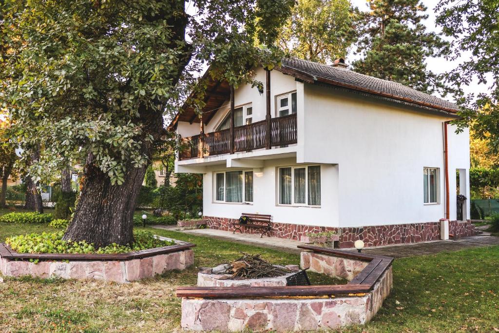 沃尔舍茨Nature Guesthouse的前面有一棵树的白色房子