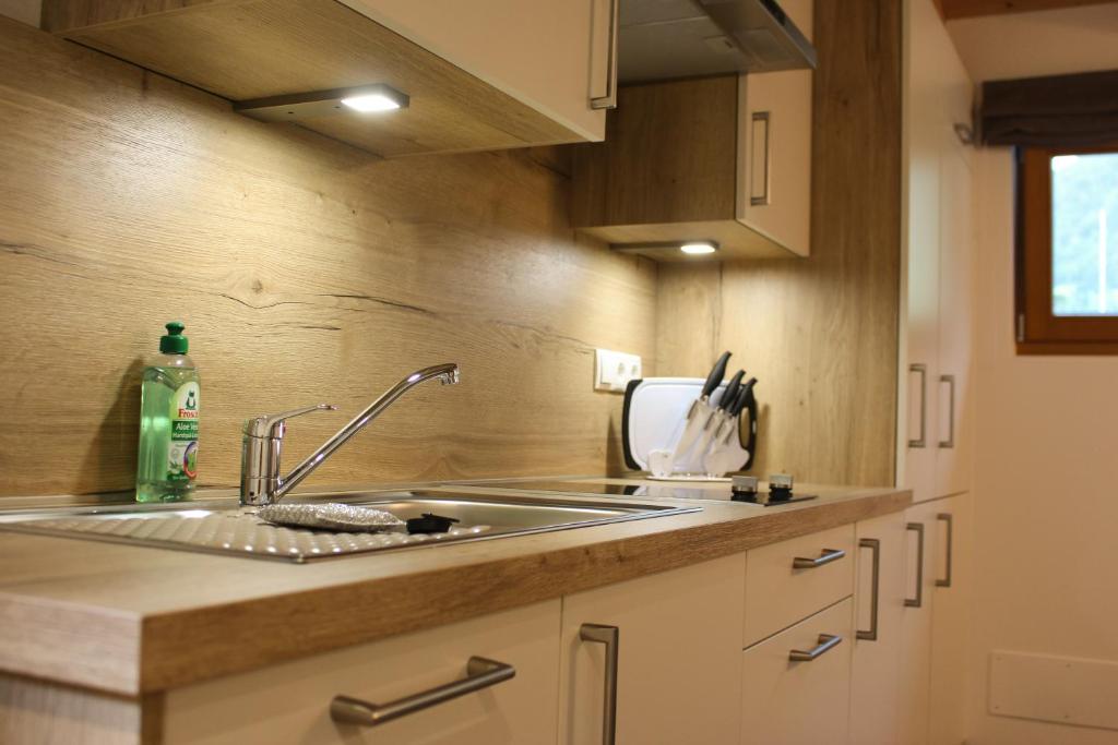 萨尔图西奥Appartements Pixner的厨房配有不锈钢盥洗盆和木柜