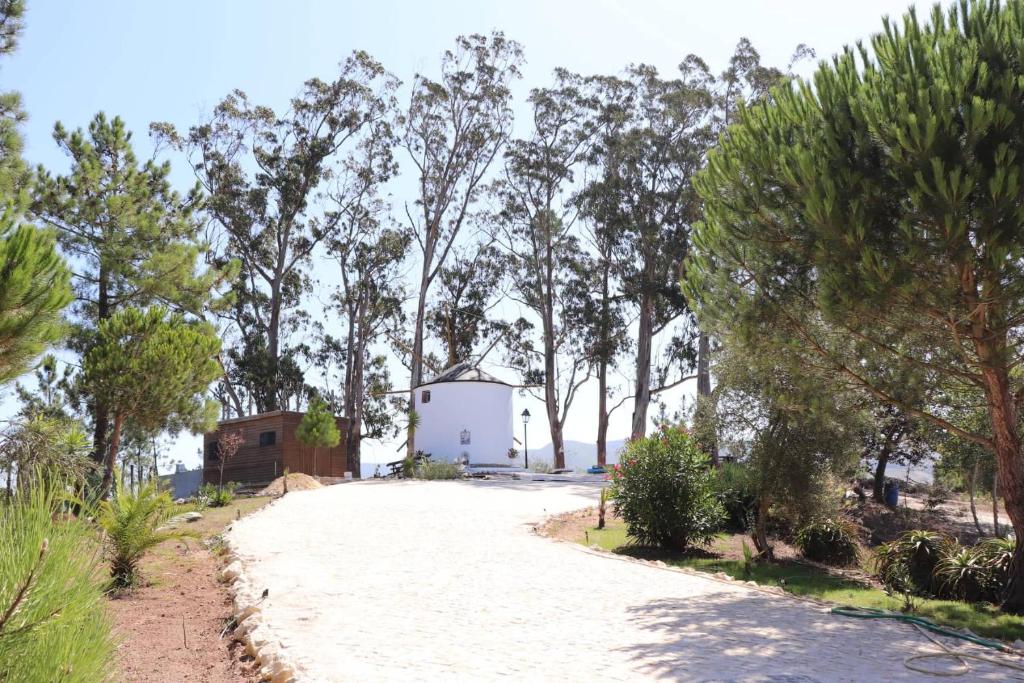 CadavalMoinho da Amélia的一条在树中间有白色建筑的道路