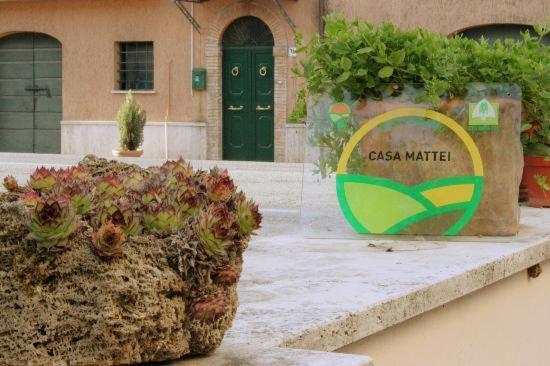 ArroneAgriturismo Casa Mattei的坐在建筑物旁边的盆子里的植物