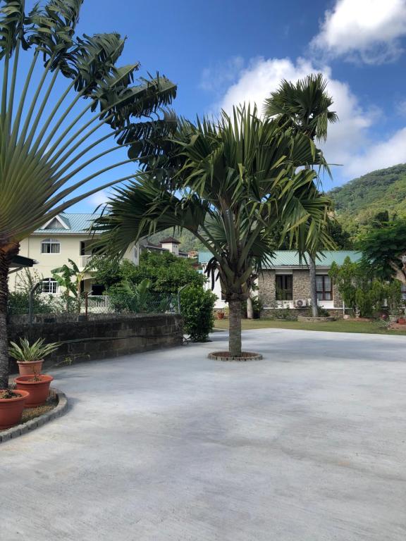 博瓦隆花园自助式公寓的停车场中间的棕榈树
