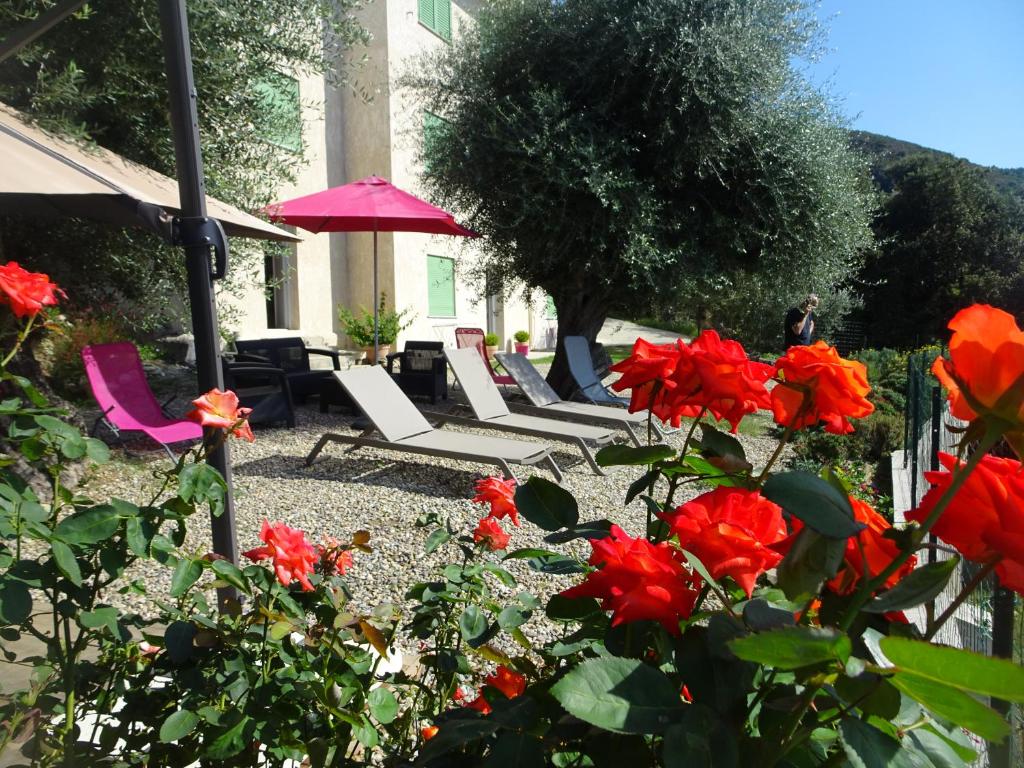 法雷诺location farinole proche saint-florent的院子里的一组椅子和红色玫瑰