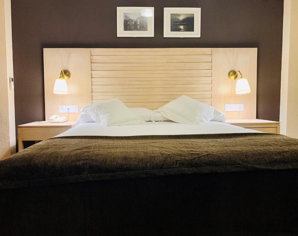 科尔多瓦阿里亚德酒店的一间卧室配有一张大床,两盏灯