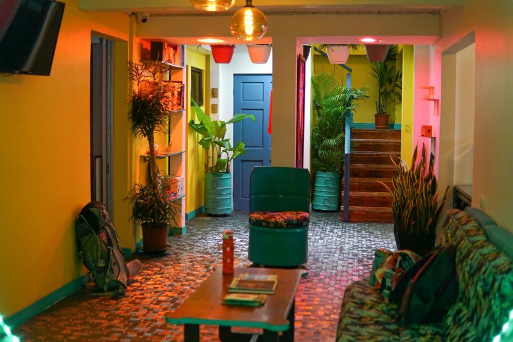 圣何塞NATIVUS Art-Hostel的一间客厅,里面种满了盆栽植物