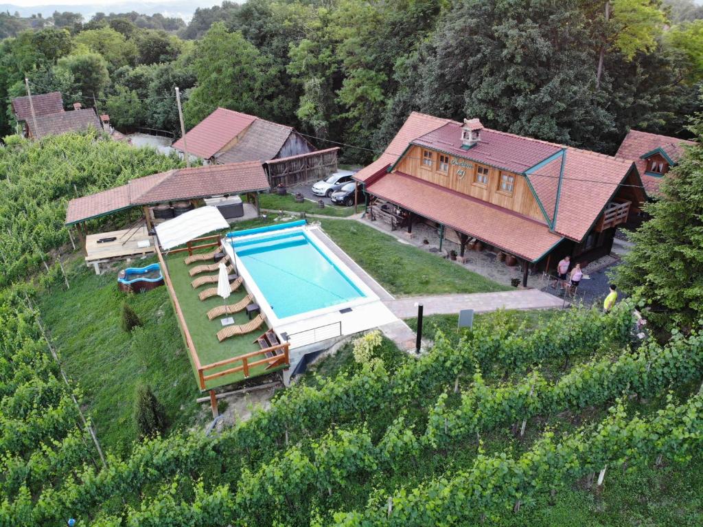 KlanjecLodge Green paradise的享有葡萄园内带游泳池的房屋的空中景致