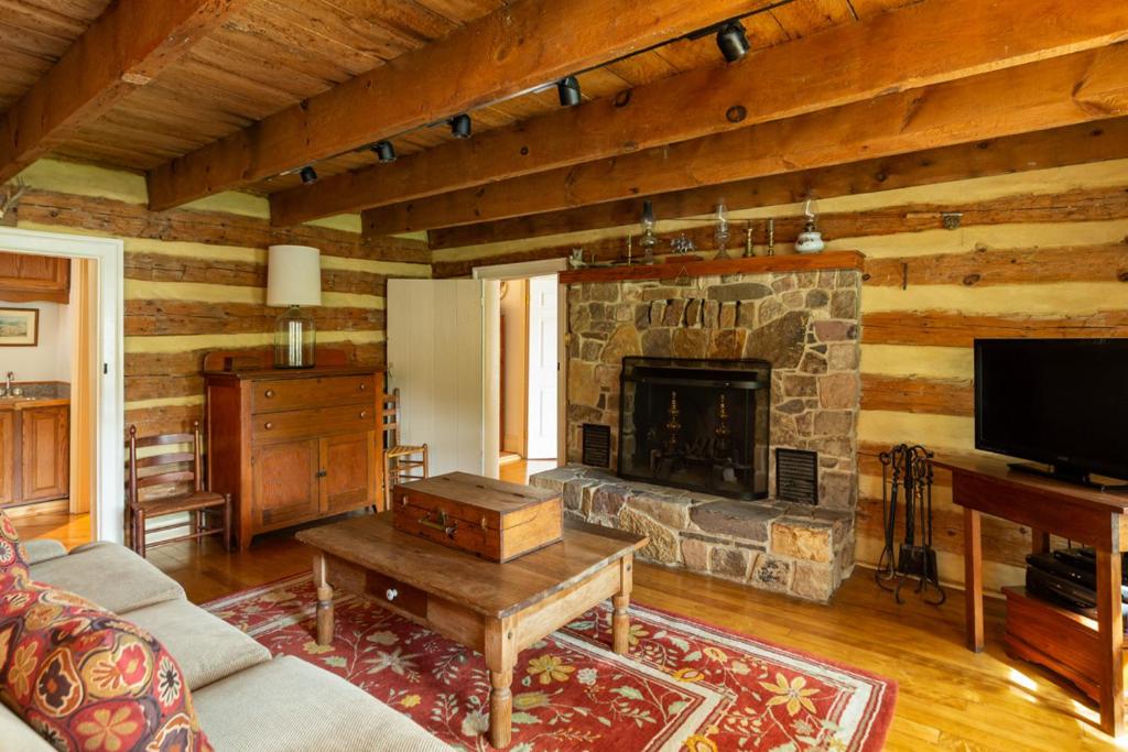 温泉城Anastasia的小屋内带石头壁炉的客厅