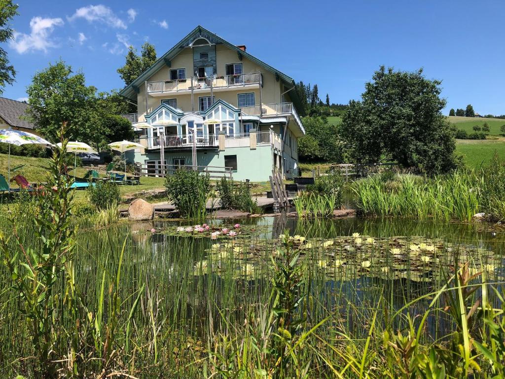 林区圣雅各布奈霍芬威特酒店的前面有池塘的大房子