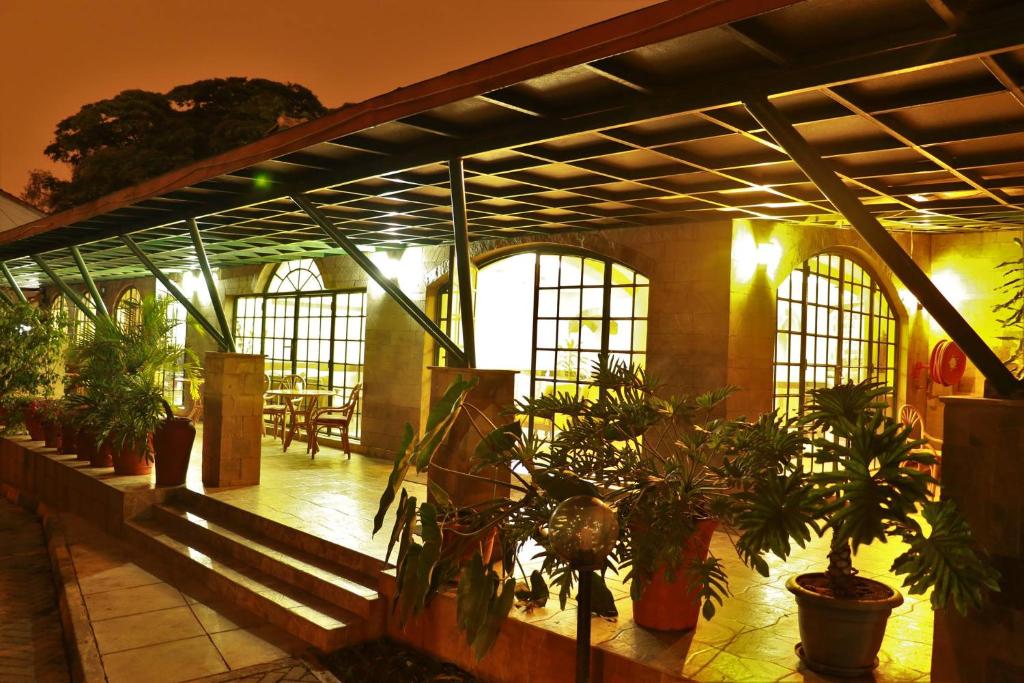内罗毕ACK Guest House Nairobi的一座建筑,里面放着一堆盆栽植物