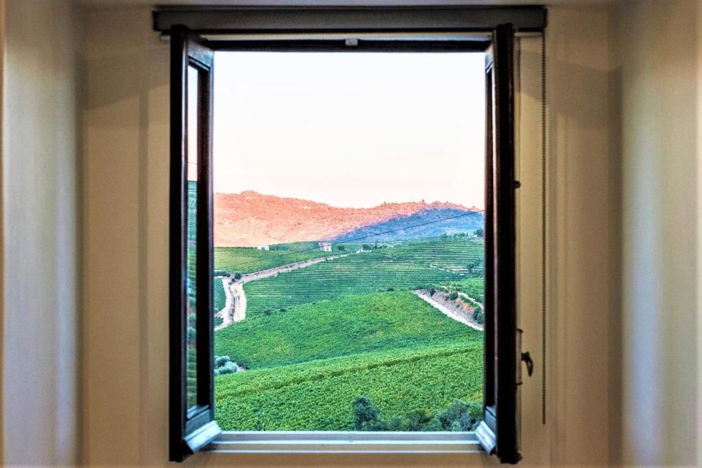 圣若昂达佩什凯拉BABhouse Casa das Abelhas - Coração do Douro的享有绿色田野景致的窗户