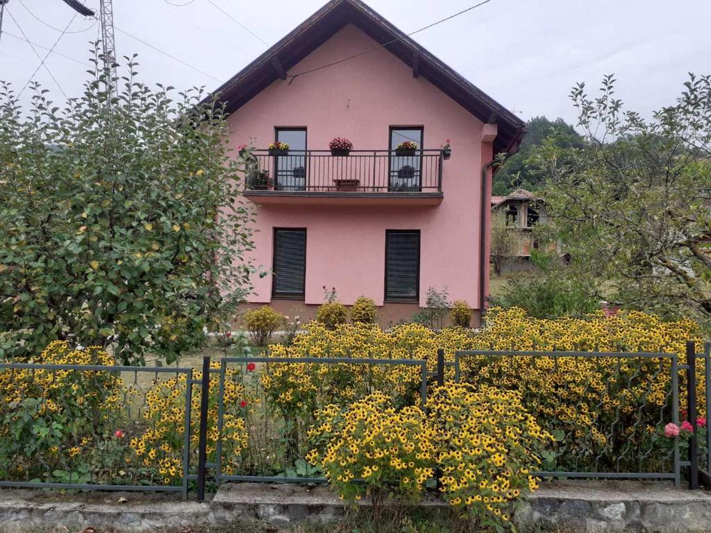 莫克拉戈拉维奥莱塔旅馆的花 ⁇ 后面的粉红色房子
