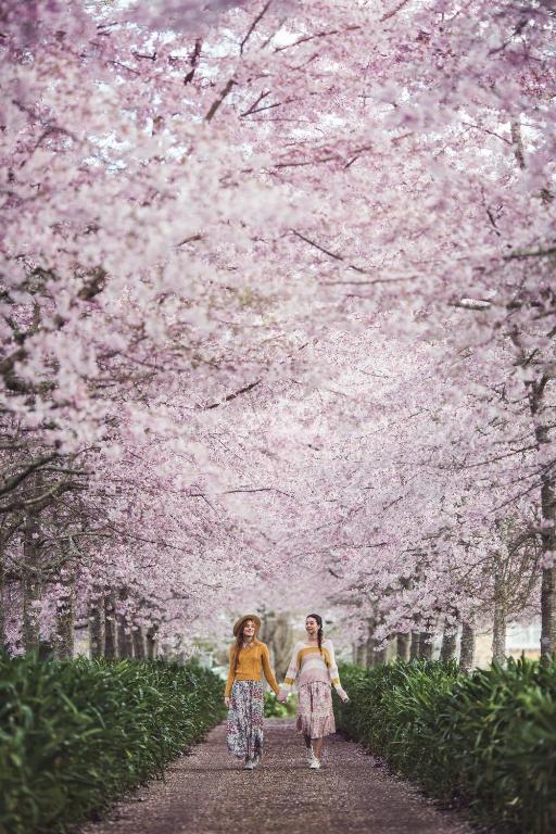TamahereEnglish Cherry Tree Manor的两个女孩沿着小径走在樱树下