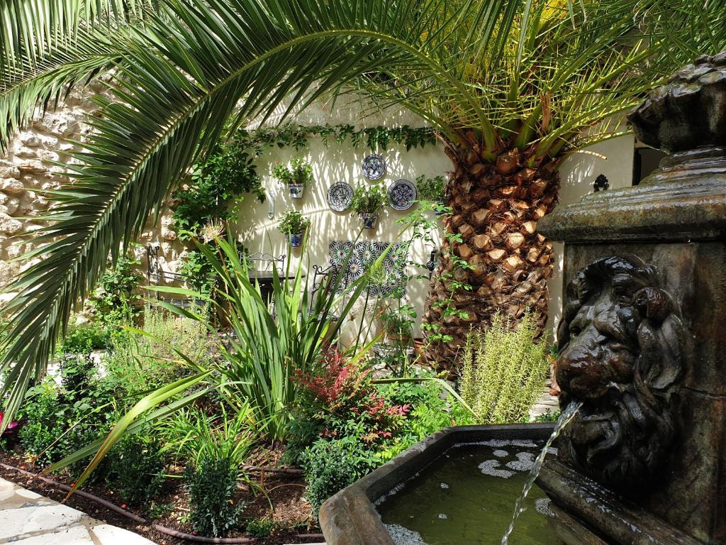 钦琼Casa San Roque的一个带喷泉和棕榈树的花园