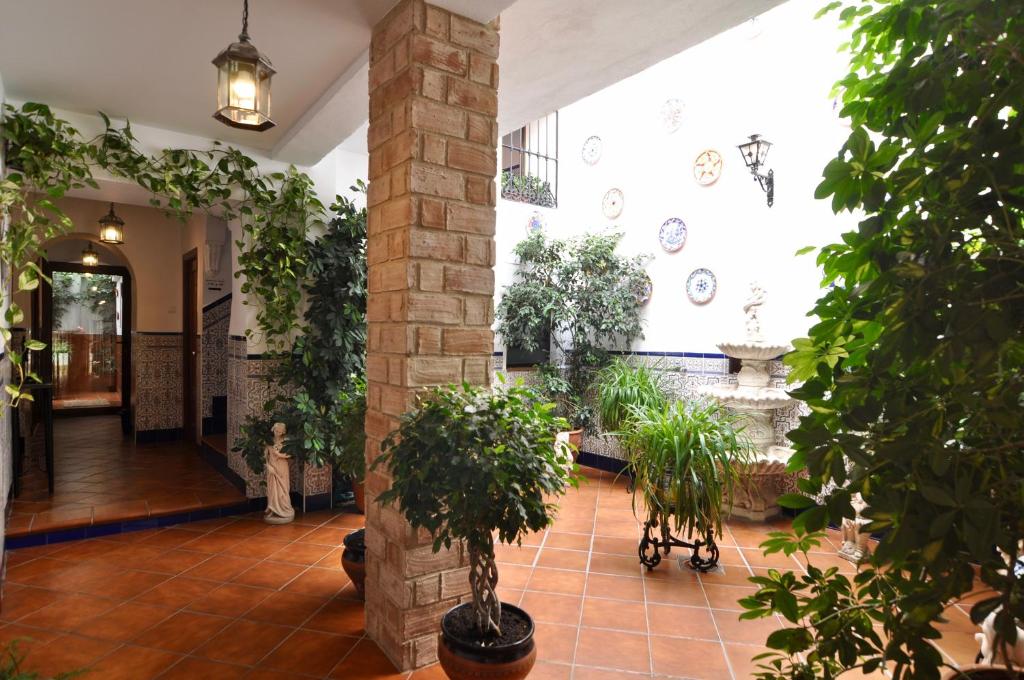 科尔多瓦Hospedería Los Angeles的楼内带有盆栽的走廊