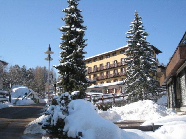 福尔加里亚Life Hotels Des Alpes的建筑物前的一组雪覆盖的树木
