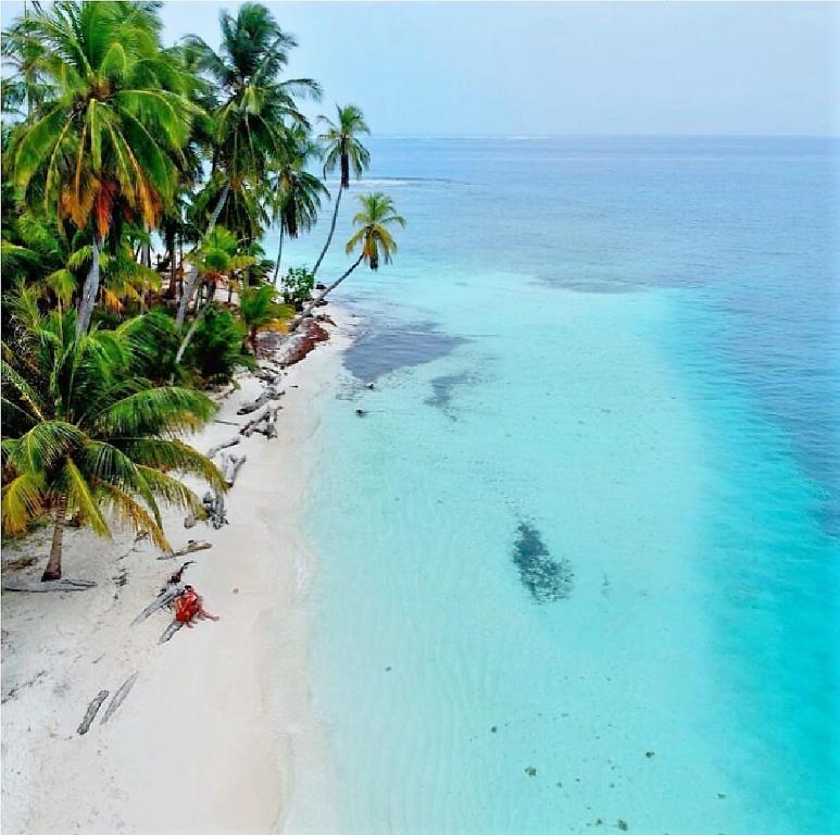 WaisalatupoPrivate Room in San Blas Islands PLUS meals的享有棕榈树海滩和大海的空中景致