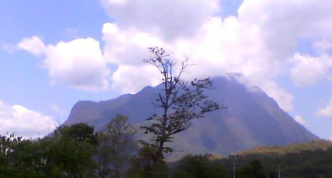 清道Mondala Resort的远方的山,前方的树