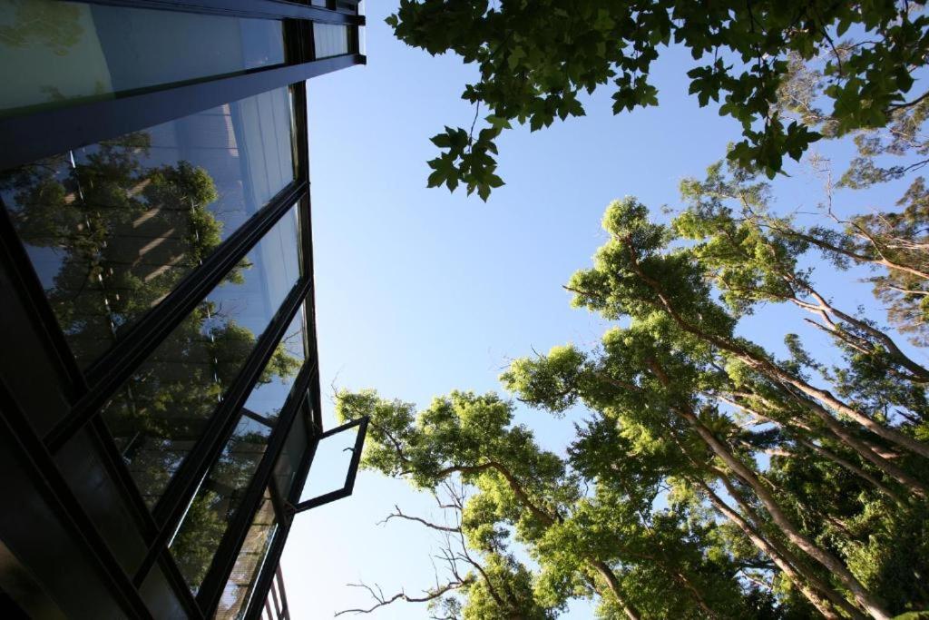 花莲市回音谷森林民宿的一座建筑,有玻璃窗户和树木