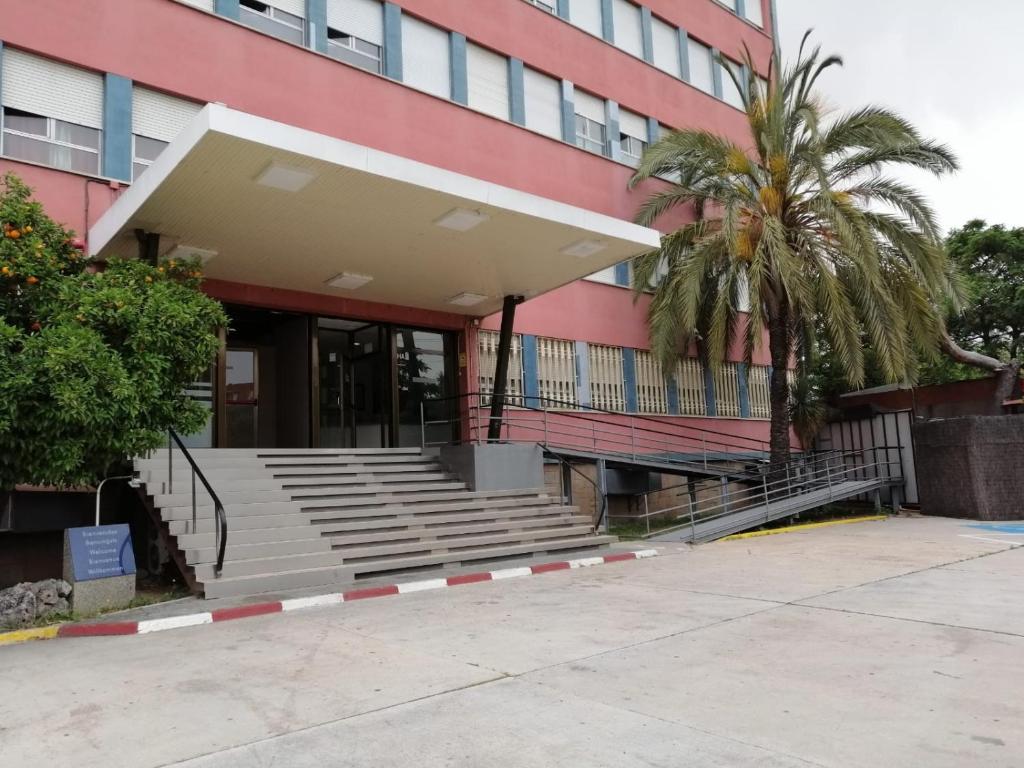 蒙卡达和雷克萨奇Aparthotel Montcada的一座有楼梯的建筑,前面有棕榈树