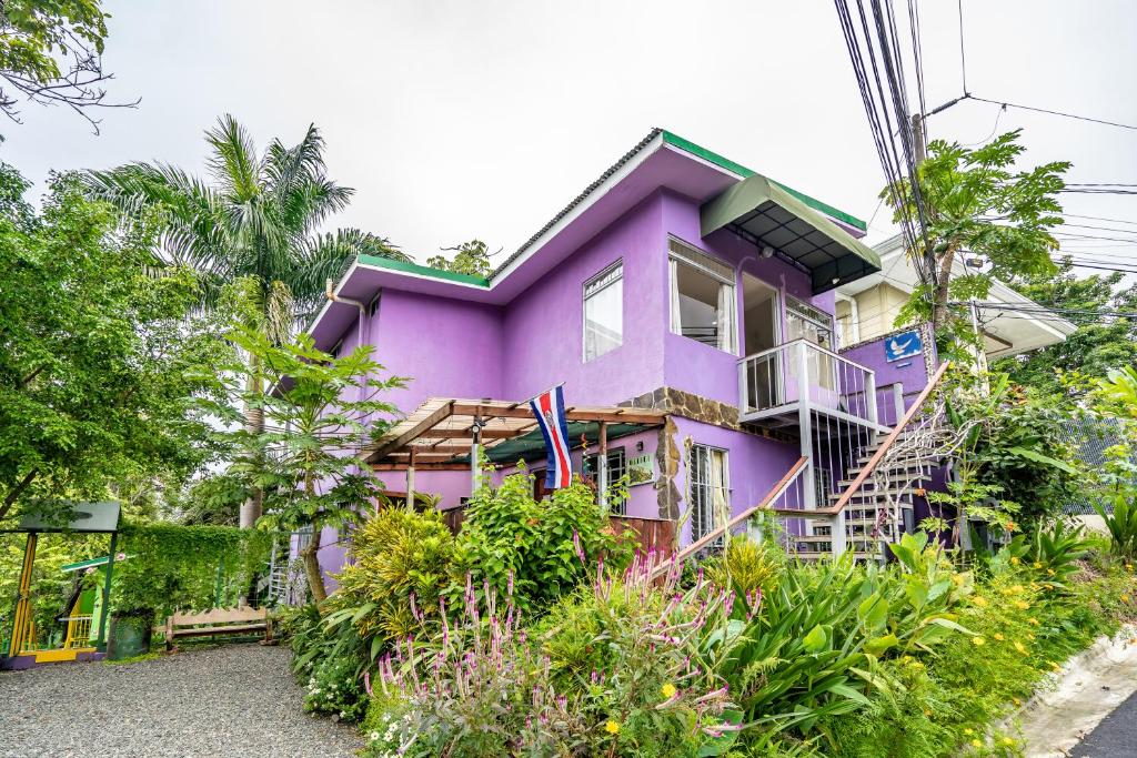 曼努埃尔安东尼奥Peace of Paradise的紫色的房子,种满了植物