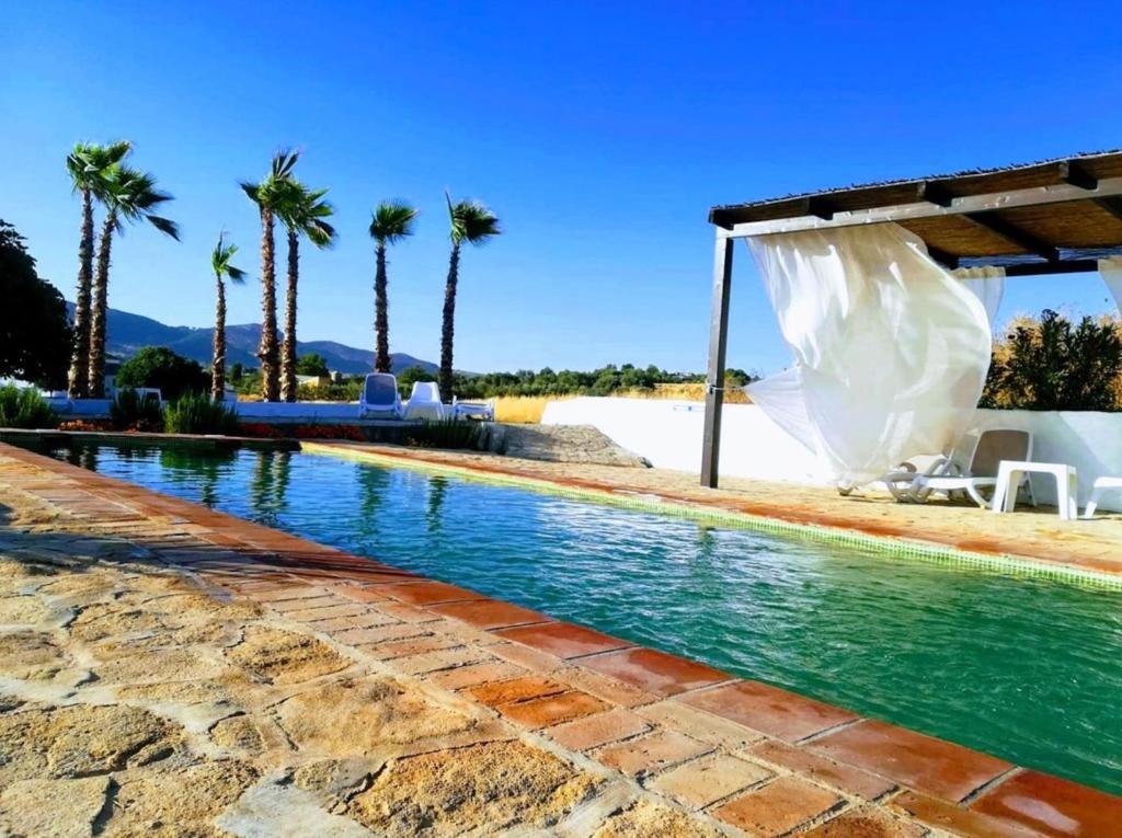隆达隆达时刻酒店的一座棕榈树环绕的游泳池