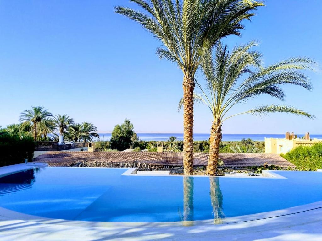 ‘Izbat an NāmūsKom El Dikka Agri Lodge的一座在海洋前方种植了两棵棕榈树的游泳池
