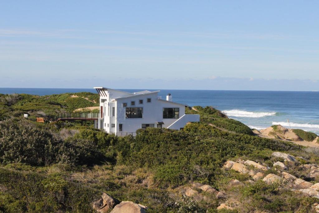 蚝湾Oyster bay beach house的海边山丘上的白色房子