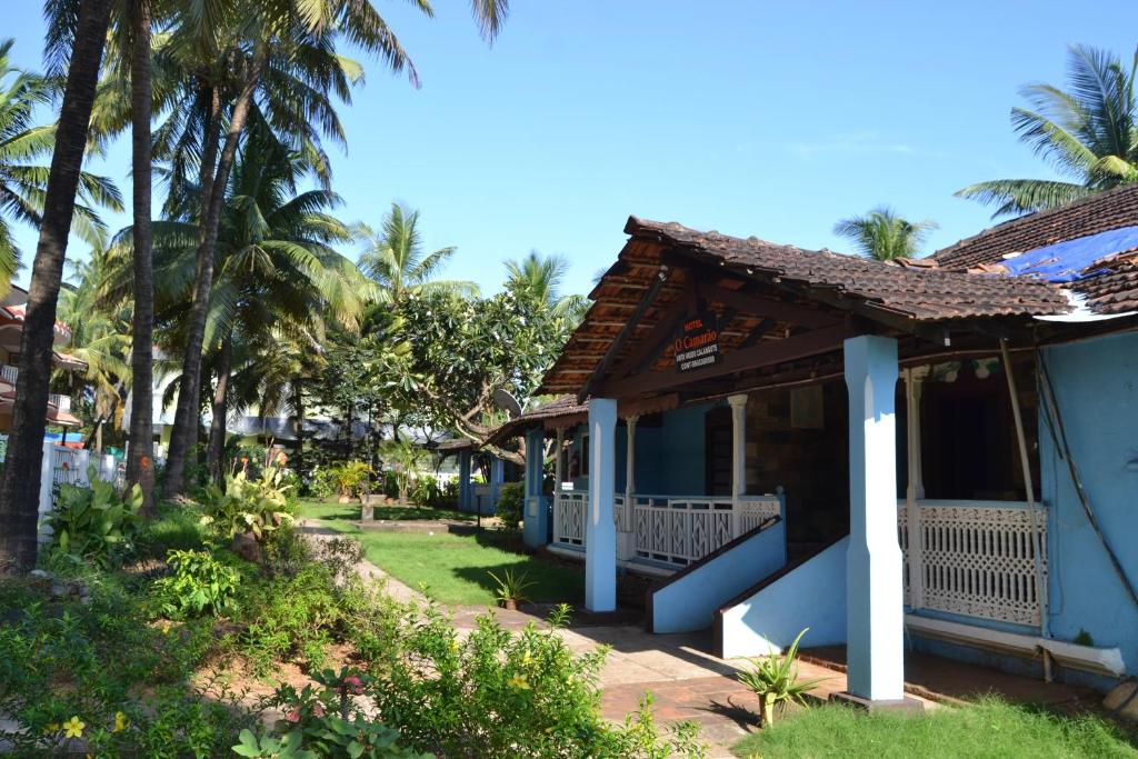 卡兰古特O Camarao的棕榈树海滩上的房子