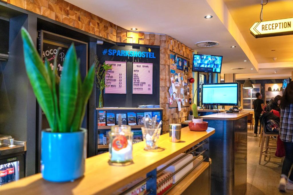 鹿特丹斯帕克斯旅舍的餐馆里的酒吧,种植了盆栽植物