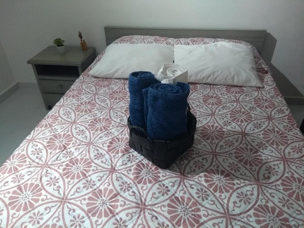 吉拉尔多特Acogedor apartamento en Girardot, fresco y tranquilo的床上摆着两袋子的床