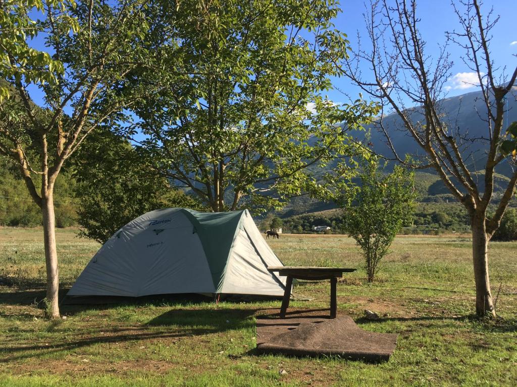 佩尔梅特Albturist Ecocamping Përmet & Outdoor Sports Center的田野上的帐篷和野餐桌