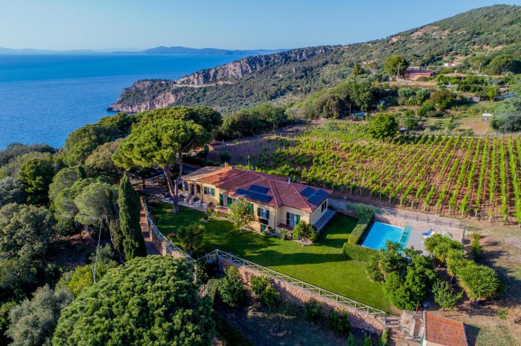 圣托斯特凡诺港Mediterranean Villa的享有葡萄园房屋的空中景致