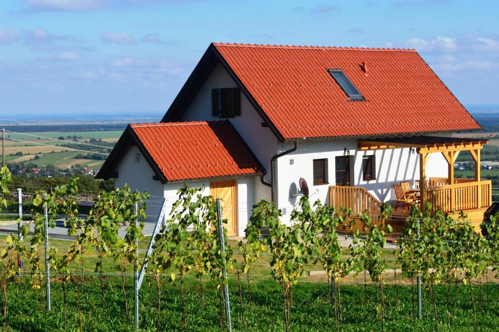 RechnitzREnthouse - Ferienhaus am Weinberg的山坡上一座带橙色屋顶的房子