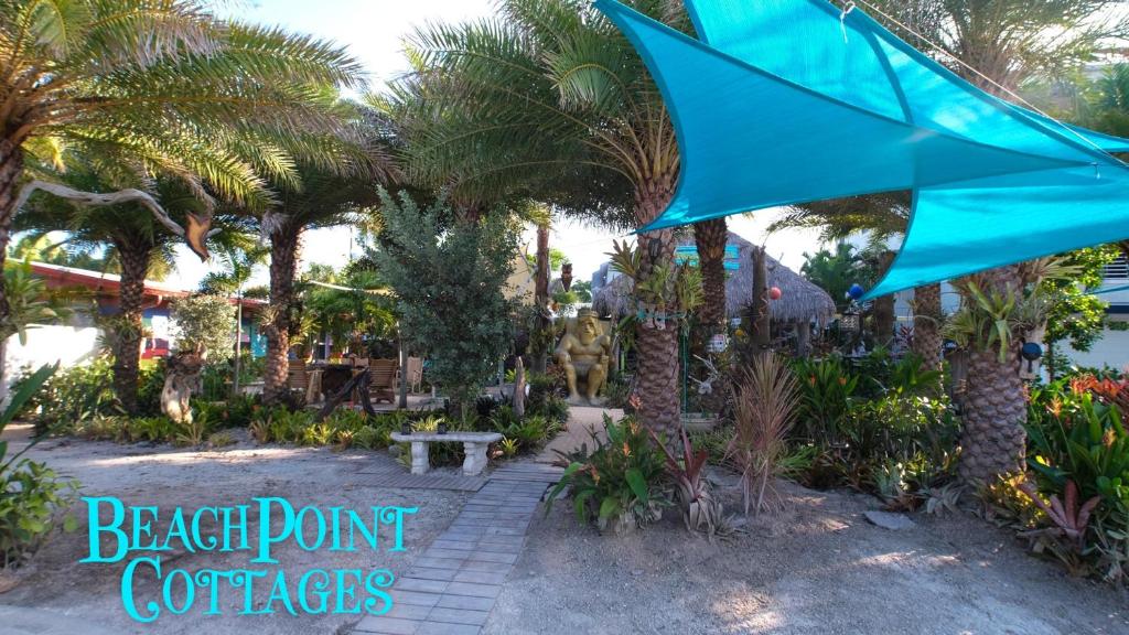 西耶斯塔岛BeachPoint Cottages的棕榈树花园中的蓝伞