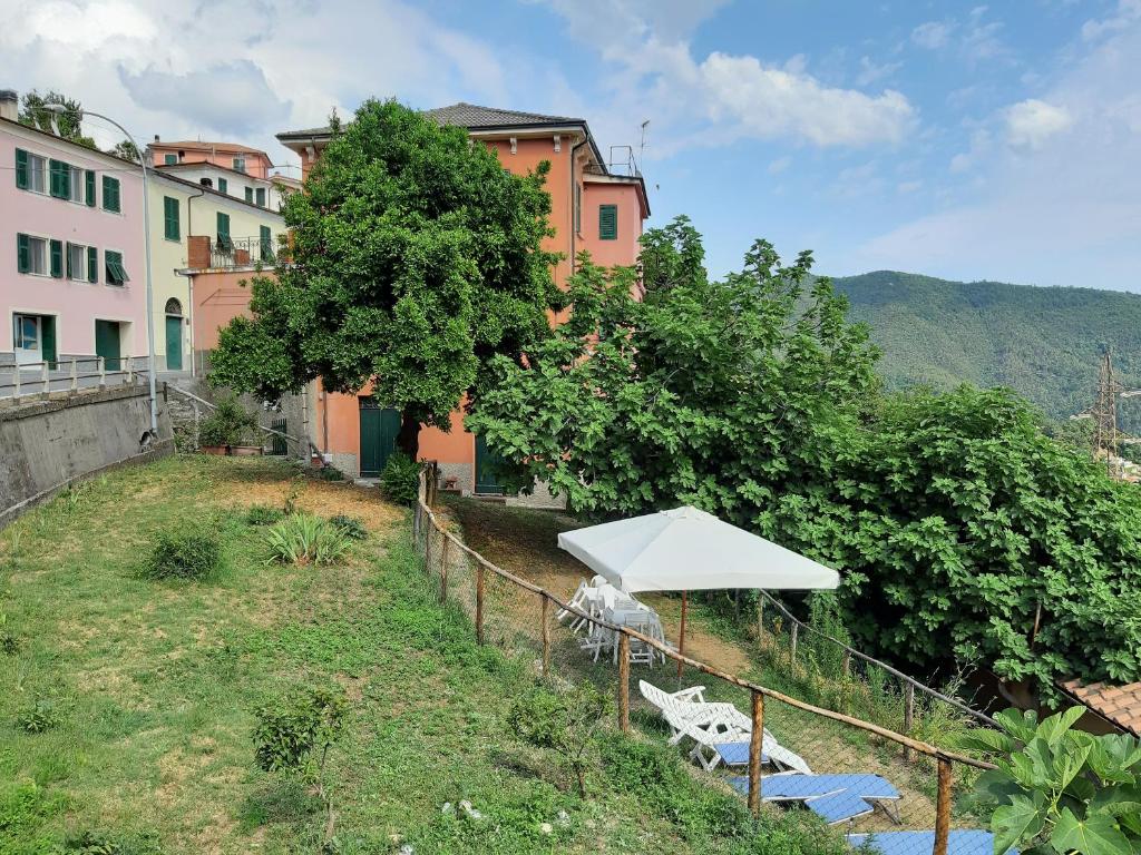 莫内利亚Cinque Terre & Portofino Lodge-Dependance Bracco的一座带遮阳伞和椅子的庭院和一座建筑