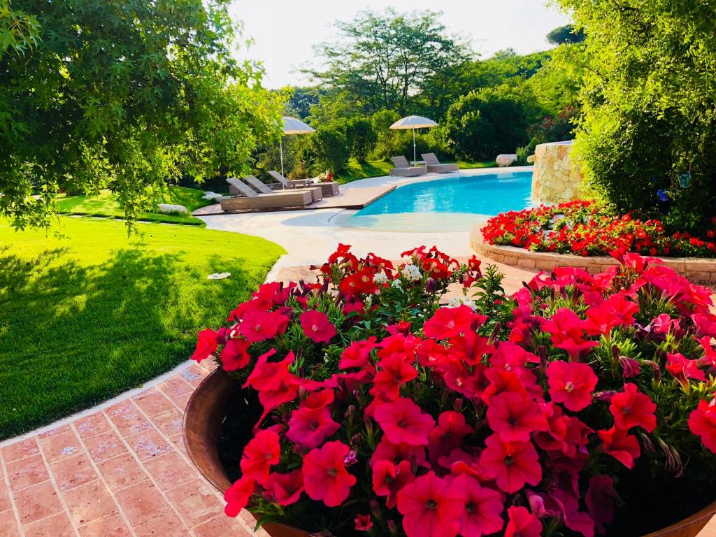 蒂耶内Borghetto San Biagio Relais Agriturismo的一座种有红色鲜花的花园和一个游泳池