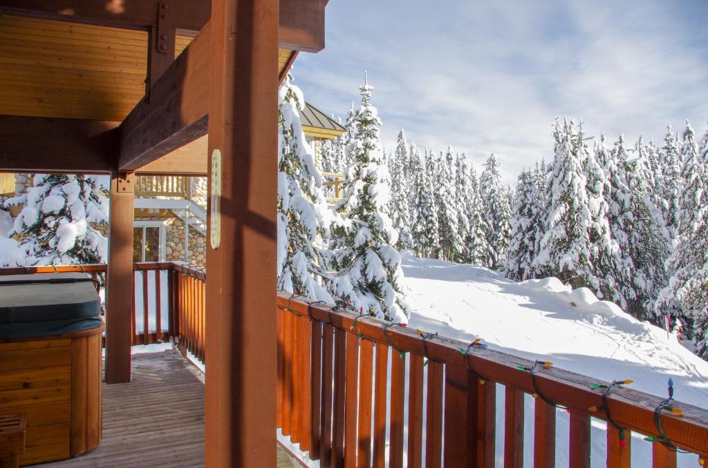 大白山Crystal View的小屋的门廊,有雪覆盖的树木